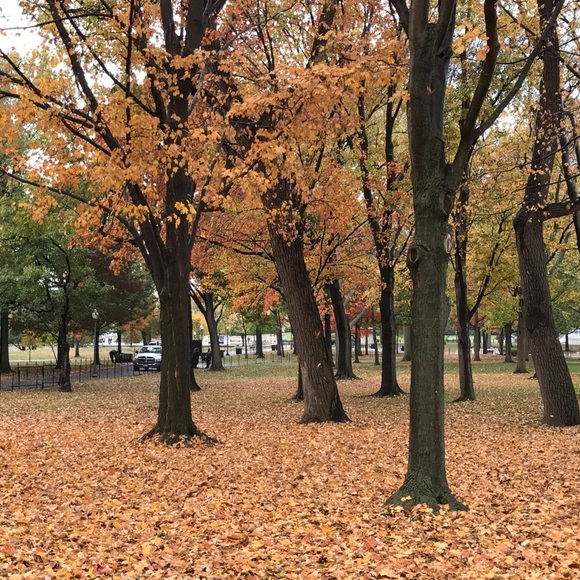 💰DON’T DELAY! ACT NOW! MAKE ME A REASONABLE OFFER - Picture 4 of 8